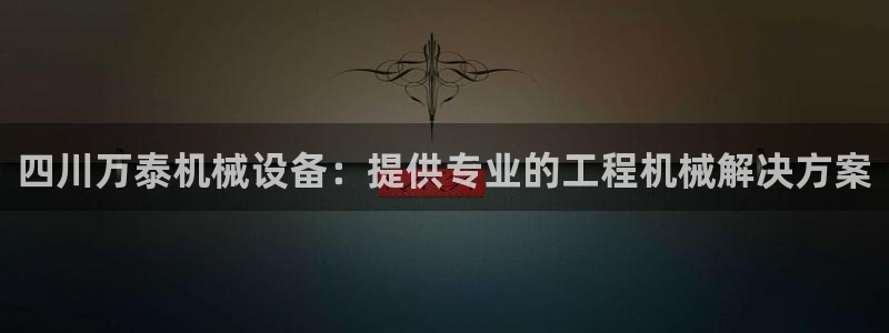 金年会体育隐藏入口：四川万泰机械设备：提供专业的工程机械解决方案